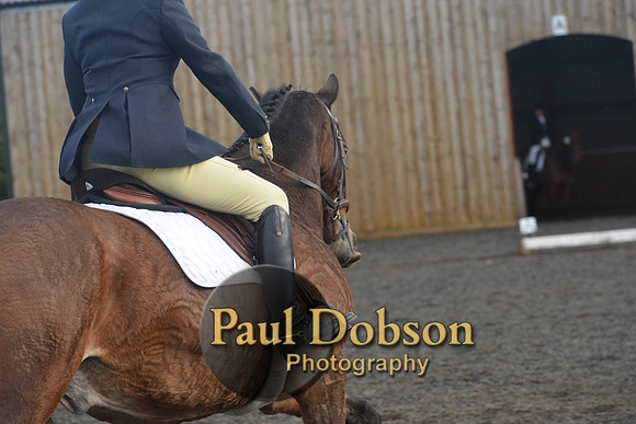 dressage-7295