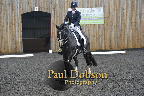 dressage-7263
