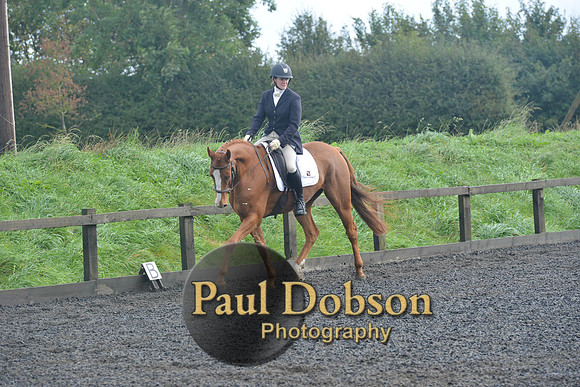 dressage-6774