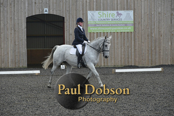 dressage-5728