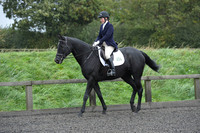 dressage-5906