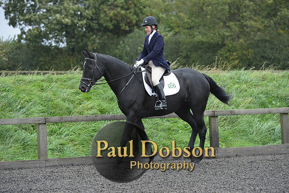 dressage-5906