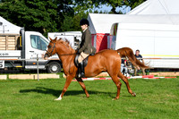 c48_1037