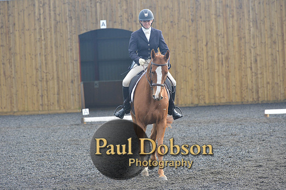 dressage-6776