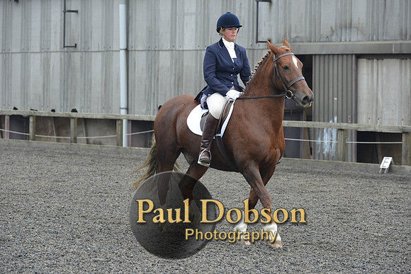 dressage-5451