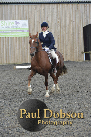 dressage-5447