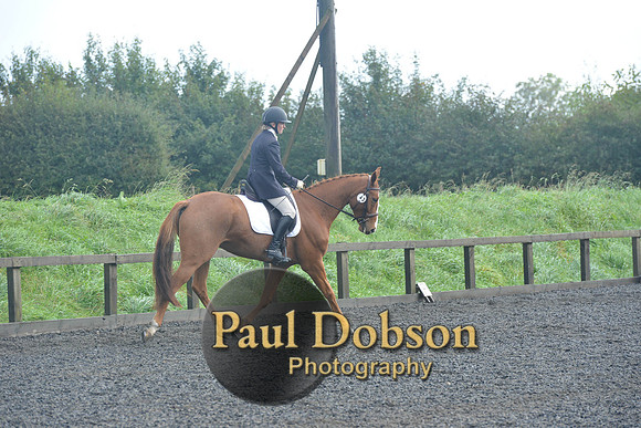 dressage-6779