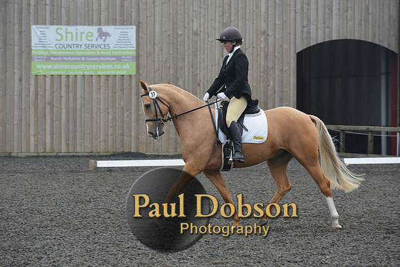 dressage-5755