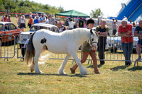 ch5_3994s