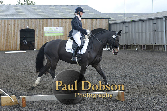 dressage-7264