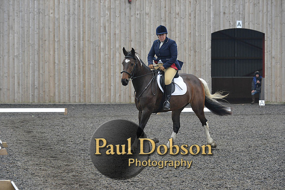 dressage-5697