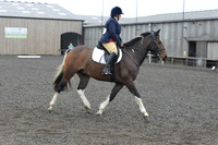 dressage-5699