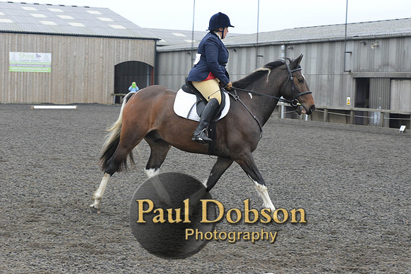 dressage-5699