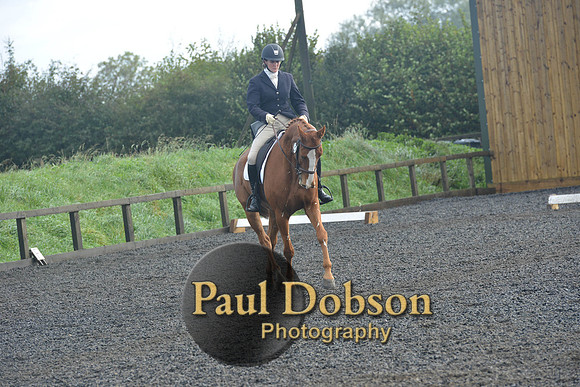 dressage-6798