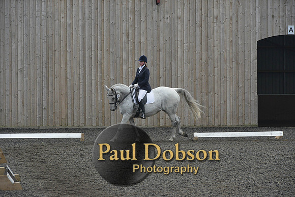 dressage-5737