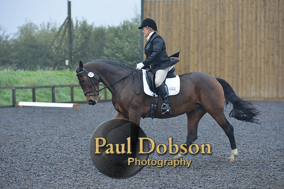 dressage-6447