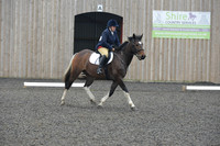 dressage-5706
