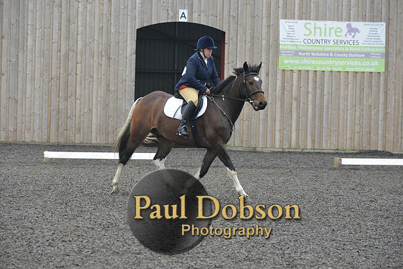 dressage-5706