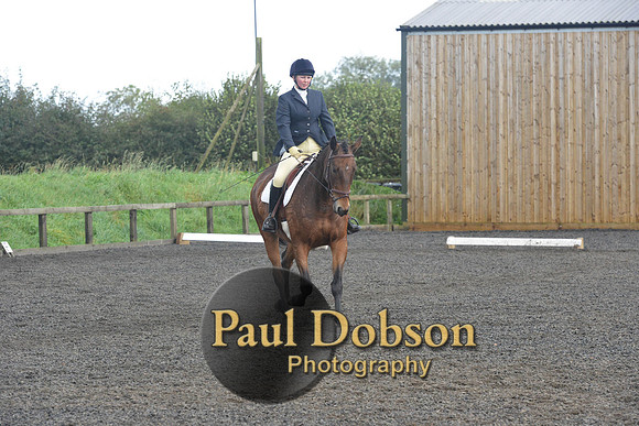 dressage-7272