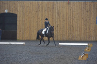 dressage-6581