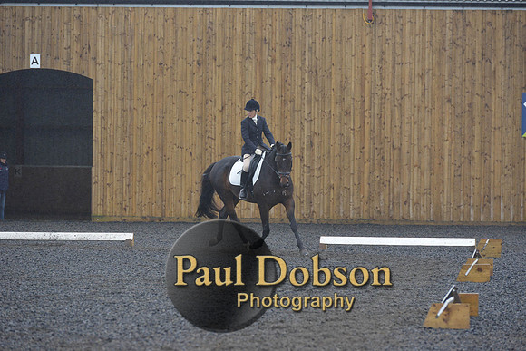 dressage-6581