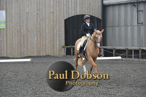 dressage-5750