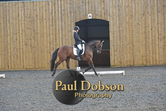 dressage-6908