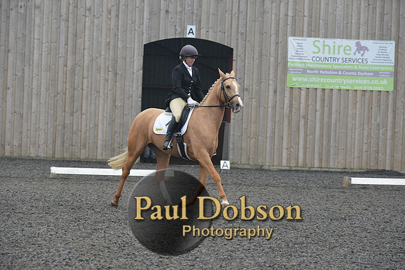 dressage-5762
