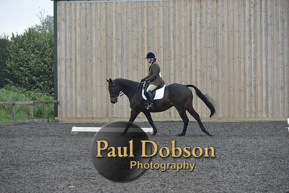 dressage-5187