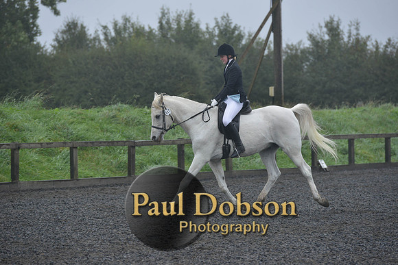dressage-6505