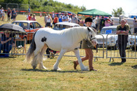 ch5_3993s