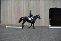 dressage-5901