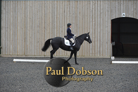 dressage-5901