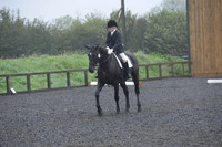 dressage-6578