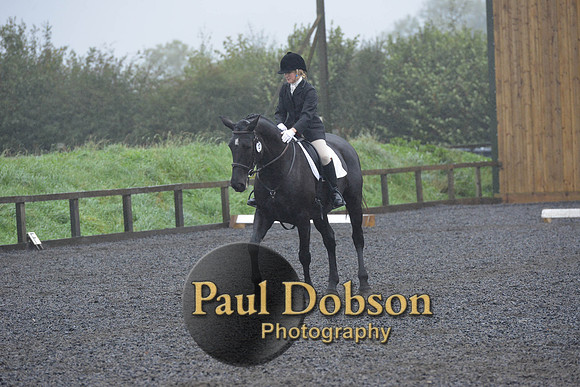 dressage-6578