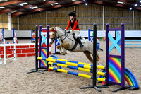C3 Aiskew Equine Horse and hound