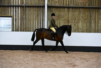 Class 41-RIHS Open Show Hunter pony 143-153cms