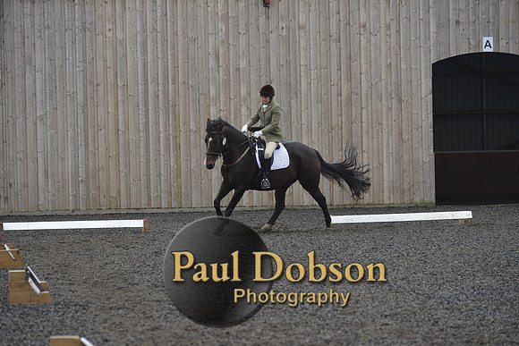 dressage-6274