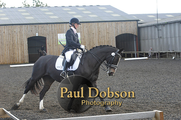 dressage-7299