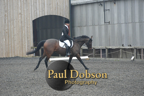 dressage-5873