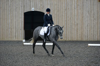 dressage-4115