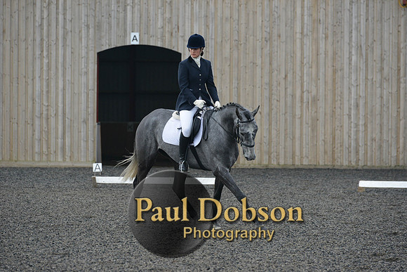 dressage-4115