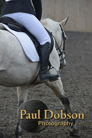 dressage-4547