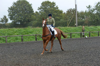 dressage-6286