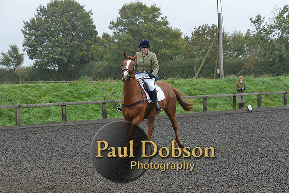 dressage-6286