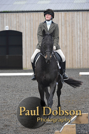 dressage-5201