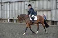 dressage-4113