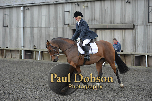 dressage-4113