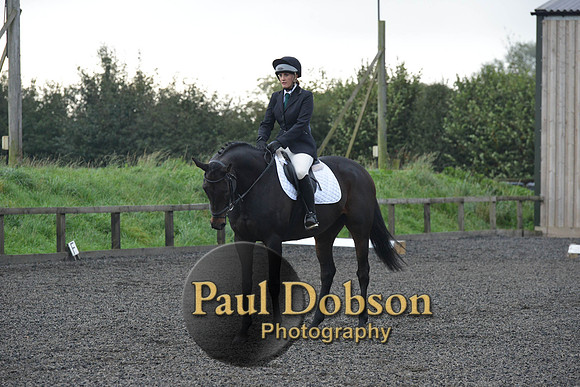 dressage-4527