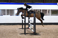 4 Pony Foxhunter  1.10m Open